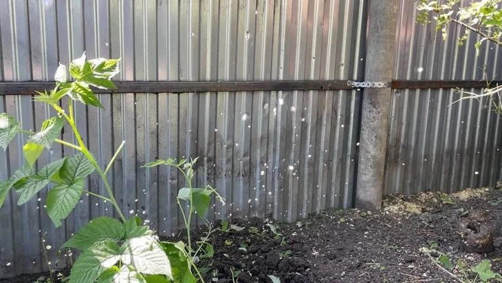 Два человека пострадали в Белгородской области в результате атаки со стороны ВСУ Два человека пострадали в Белгородской области в результате атаки со стороны ВСУ