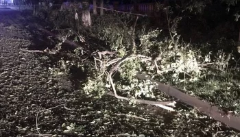 Мужчина ранен в результате шестого за сутки обстрела Шебекино в Белгородской области