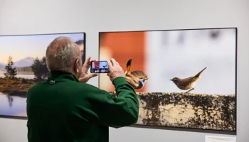 Москва онлайн покажет открытие фестиваля природы "Первозданная Россия"