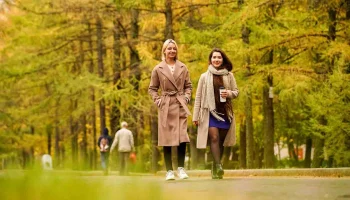 Синоптики сообщили о солнечной и сухой погоде в Москве 17 октября