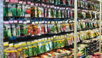 Крупнейший в РФ производитель томатной пасты столкнулся с нехваткой семян &ndash; СМИ