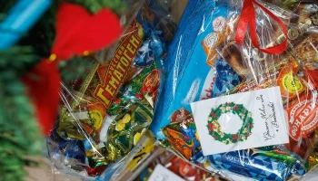 Свыше 300 тонн гумпомощи отправили добровольцы Западного округа в зону СВО