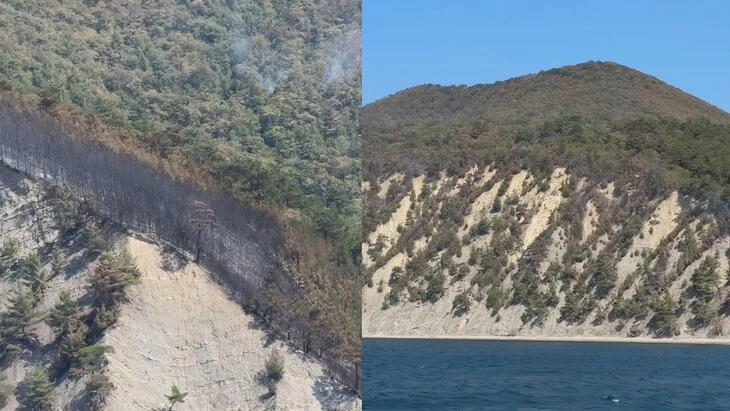 Лесной пожар под Геленджиком полностью ликвидирован Лесной пожар под Геленджиком полностью ликвидирован