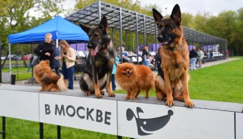 Сергунина: Благодаря платформе &laquo;Город идей&raquo; реализовали 9,3 тысячи инициатив москвичей