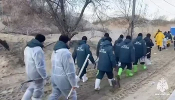 Генпрокуратура решила проверить работу МЧС после ЧП с танкерами в Черном море