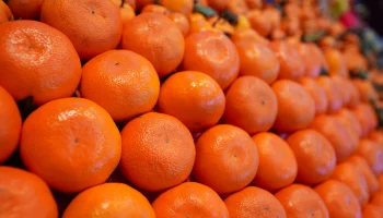 Нутрициолог назвала оптимальное для ежедневного употребления количество мандаринов