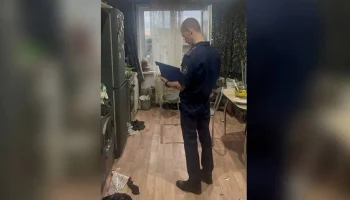 СК опроверг данные, что мать погибших под Красноярском детей хотела их отравить