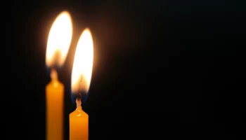 Стала известна причина смерти главреда &laquo;Союзмультфильма&raquo; Татьяны Папоровой