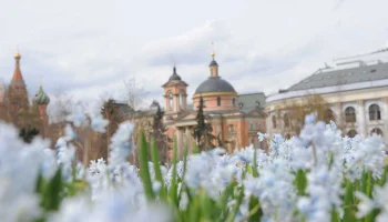 Синоптик Шувалов спрогнозировал до плюс 19 градусов до конца недели в Москве