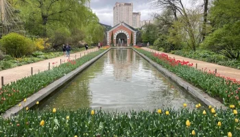 "Аптекарский огород" будет закрыт для посетителей 19 мая