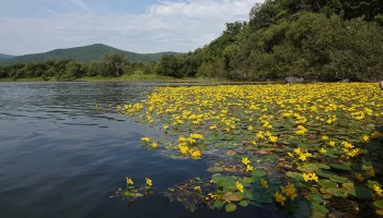 Мэр Орска: Ситуация с подтоплением стремительно развивается в худшую сторону