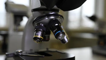 «Болезнь Х»: врач Кукадиа рассказал о возможном возбудителе новой пандемии «Болезнь Х»: врач Кукадиа рассказал о возможном возбудителе новой пандемии