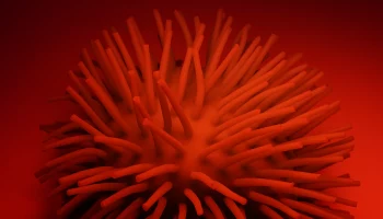 Вирусолог Аграновский предупредил о возможном подъеме заболеваемости COVID-19