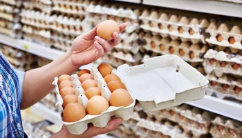 В ФАС заявили, что на постоянной основе контролируют цены на куриные яйца