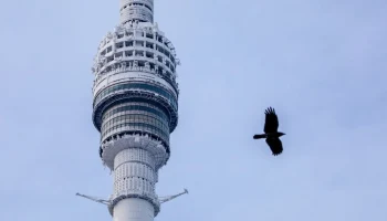 Останкинская телебашня в Москве покрылась льдом