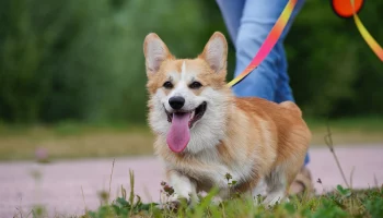 Синоптик Тишковец пообещал июньское тепло в Москве на предстоящей неделе