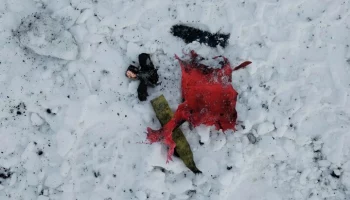 Дрон-камикадзе ВСУ повредил дом в селе Курской области