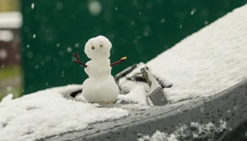 Синоптик Позднякова: Снежный покров вряд ли образуется в столичном регионе снова