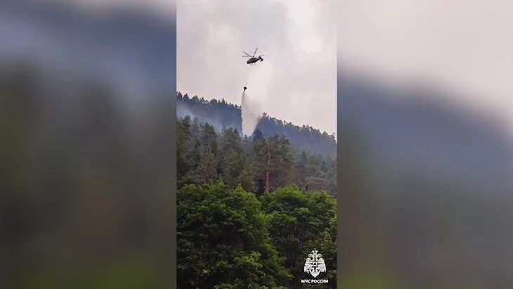 Лесной пожар в Гоначхирском ущелье локализован