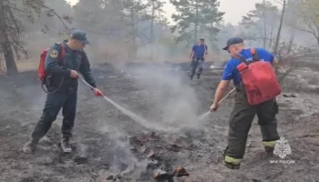 Ландшафтный пожар в Крыму локализован на площади 23 га