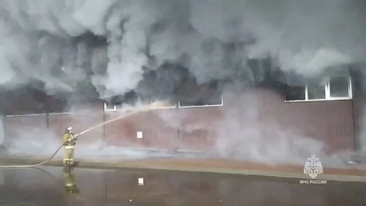 РИА Новости: пожар в Ногинске мог начаться из-за неосторожного обращения с огнем