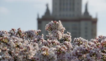 Синоптик рассказала, ждать ли москвичам опасных погодных явлений на неделе