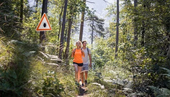 Не пытайтесь их топить: что делать, если укусил клещ