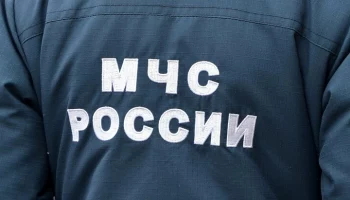 Пожар в парке Горького в центре Москвы потушили &ndash; МЧС