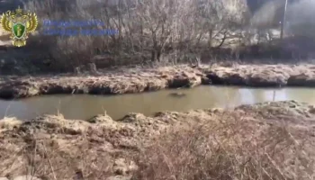 Прокуратура Москвы проведет проверку по факту сброса отходов в реку Сходня