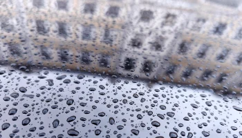 Синоптики сообщили об облачной погоде с дождем в Москве 16 апреля