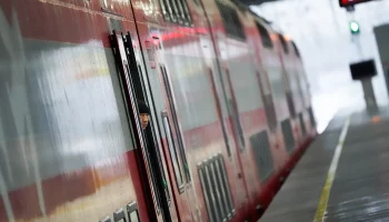 Кошку в сумке-переноске нашли в вагоне поезда &laquo;Аэроэкспресс&raquo;