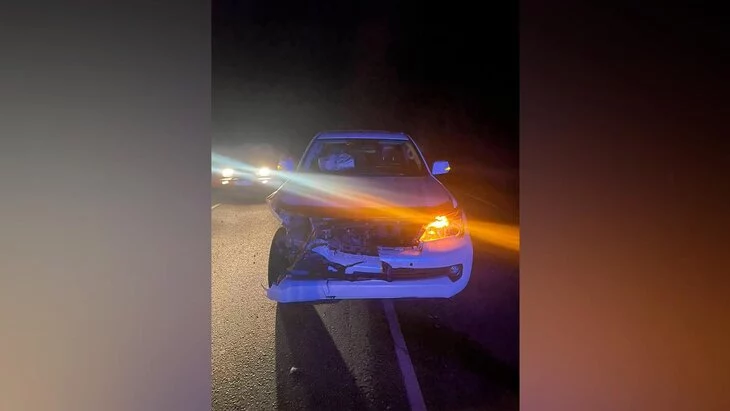 Автомобилист насмерть сбил амурского тигра в Приморском крае Автомобилист насмерть сбил амурского тигра в Приморском крае