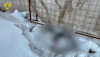 СК РФ возбудил дело по факту убийства женщины на востоке Москвы