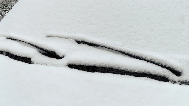 Baza: Снегопады на Камчатке нарушили работу транспорта и энергоснабжения Baza: Снегопады на Камчатке нарушили работу транспорта и энергоснабжения