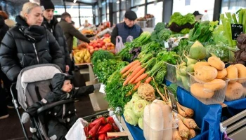 Корни петрушки, сельдерея и пастернака появились на московских ярмарках