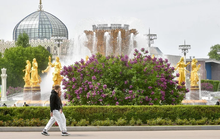 Синоптик Позднякова: В мае новых заморозков в Москве не ожидается Синоптик Позднякова: В мае новых заморозков в Москве не ожидается
