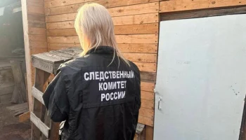 Жительница Красноярского края задержана по подозрению в убийстве трех детей