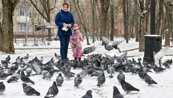 Синоптики пообещали москвичам солнечную погоду без осадков 17 февраля