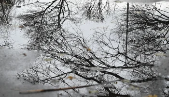 Синоптики рассказали об облачной погоде без осадков в Москве 2 ноября