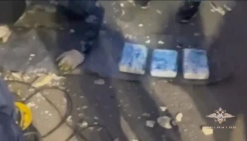 Сотрудники МВД изъяли свыше 61 кг наркотиков, привезенных из Эквадора