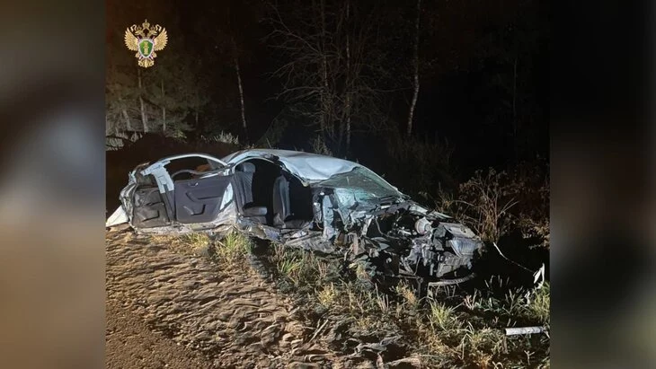 Десятимесячная девочка скончалась в больнице после ДТП в Подмосковье Десятимесячная девочка скончалась в больнице после ДТП в Подмосковье