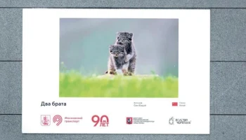 Лучшие работы фестиваля дикой природы &laquo;Золотая черепаха&raquo; представили в метро