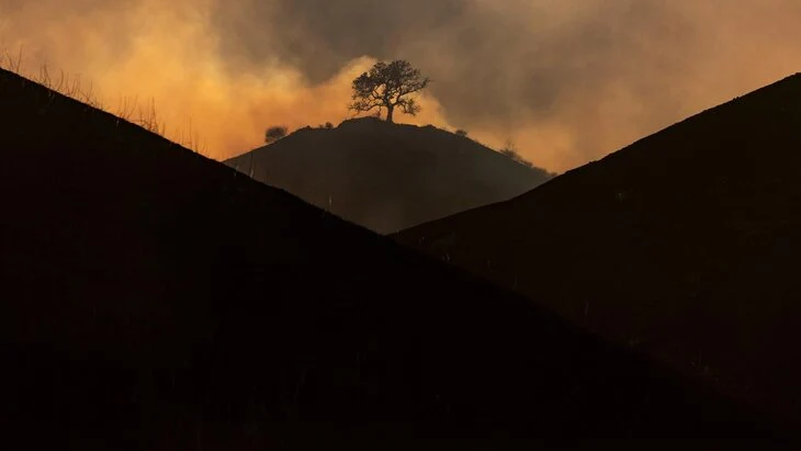 В Калифорнии самолет столкнулся с дроном при тушении пожаров В Калифорнии самолет столкнулся с дроном при тушении пожаров