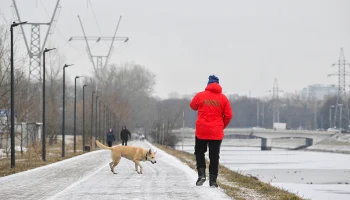 Городские службы перевели в режим повышенной готовности из-за ухудшения погоды