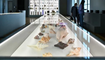 Москвичей пригласили на День экологического образования на ВДНХ