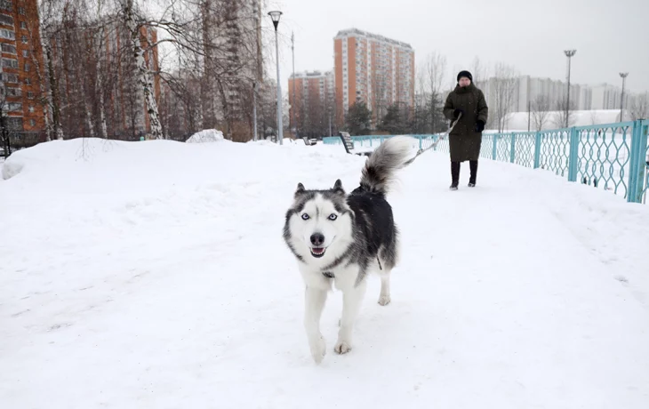 Синоптики пообещали москвичам пасмурную и сухую погоду 4 марта Синоптики пообещали москвичам пасмурную и сухую погоду 4 марта