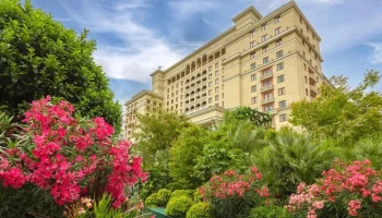 Фестиваль "Сады и цветы" передаст растения ботаническим садам Донецка и Крыма