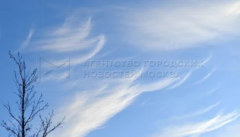 Редкие облака &laquo;конские хвосты&raquo; появились над Москвой