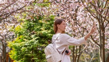 Голосование за лучшие места для весенних фото стартовало в "Активном гражданине"