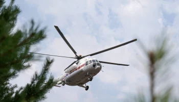 Пожарные потушили 66 природных возгораний в России за сутки